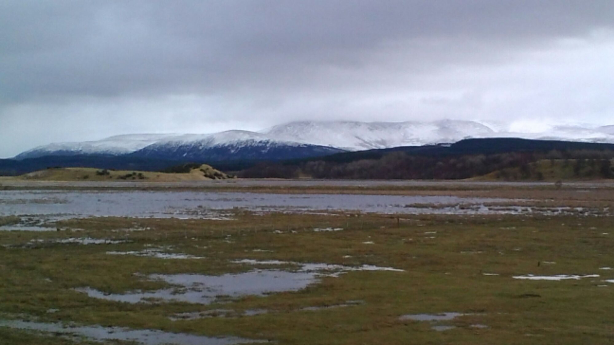 P_20140322_114543.jpg image