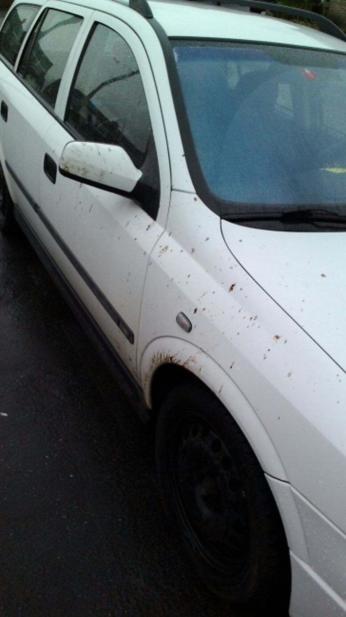 P_20140325_145758.jpg image