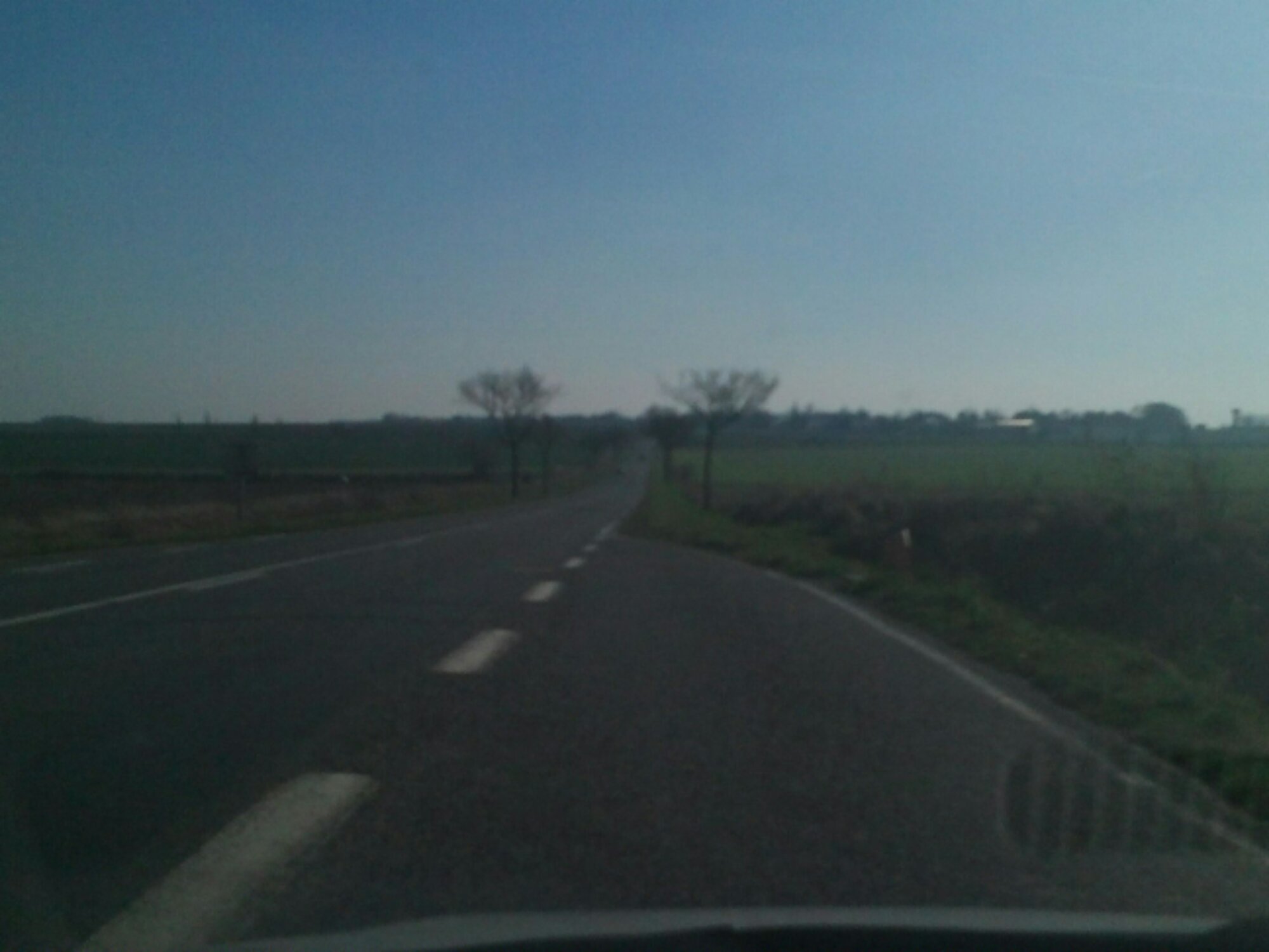 wp-1394112464816.jpg image